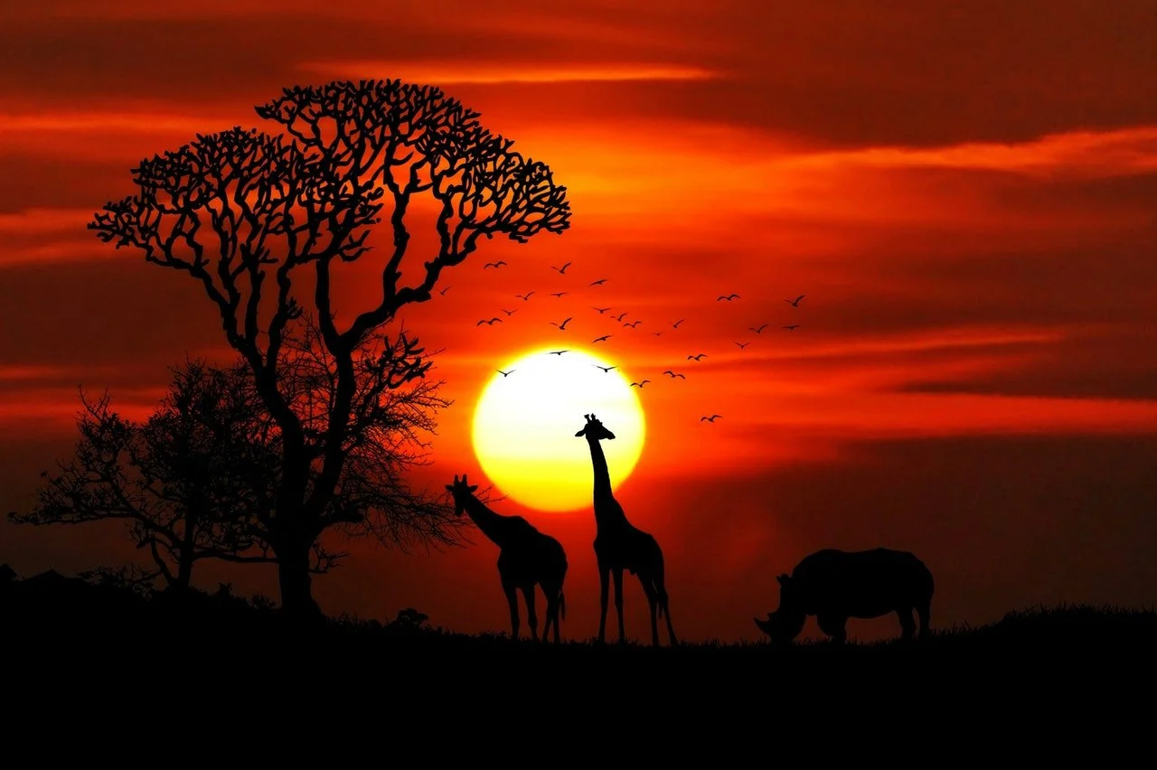 35 Amazing Facts About Nature