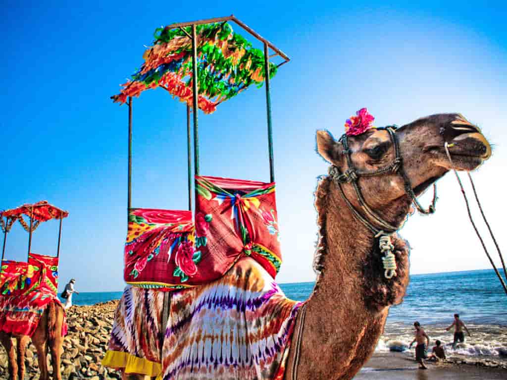 Gujarat Starts Giving 10% Reservation to General CasteGujarat Starts Giving 10% Reservation to General Caste