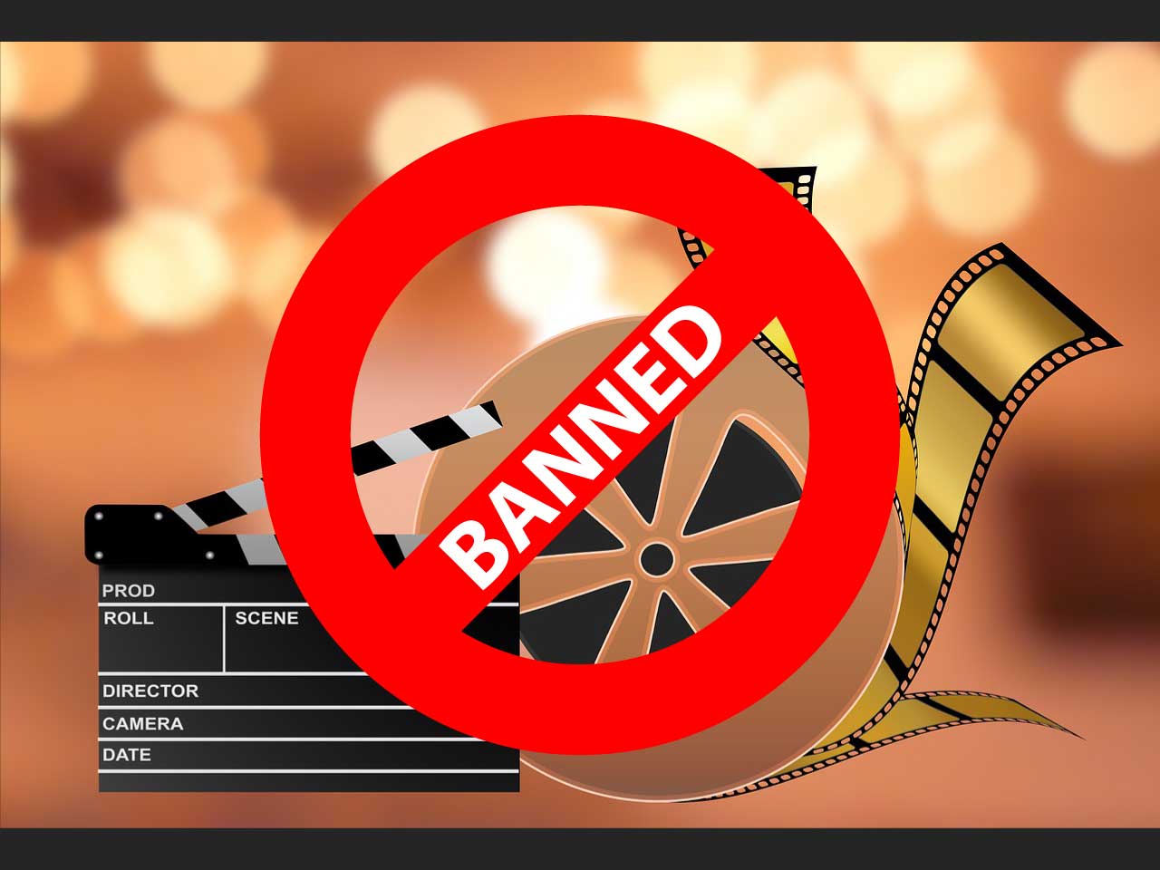 Movies Election Commission Bans during Lok Sabha Election 2019