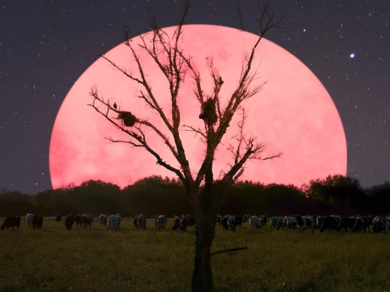 Pink Supermoon going to appear in India on April 8