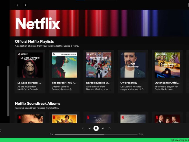 Spotify Netflix Hub