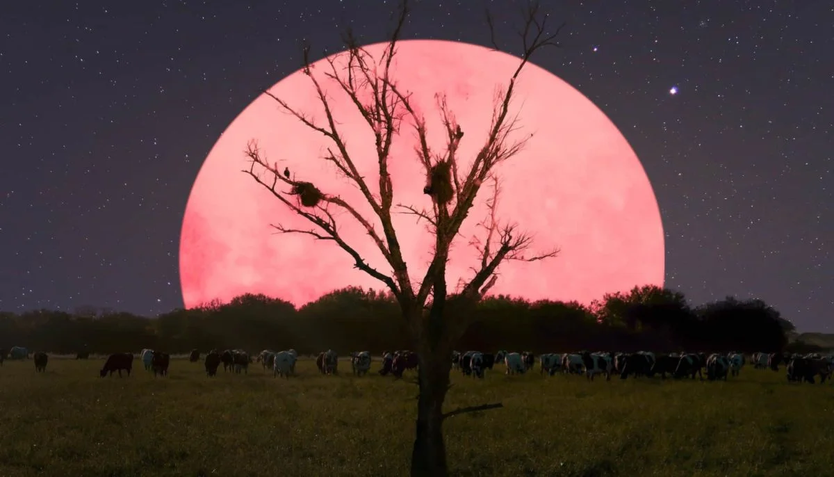 Pink Supermoon going to appear in India on April 8