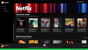 Spotify Netflix Hub